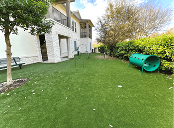 Dog park with astroturf